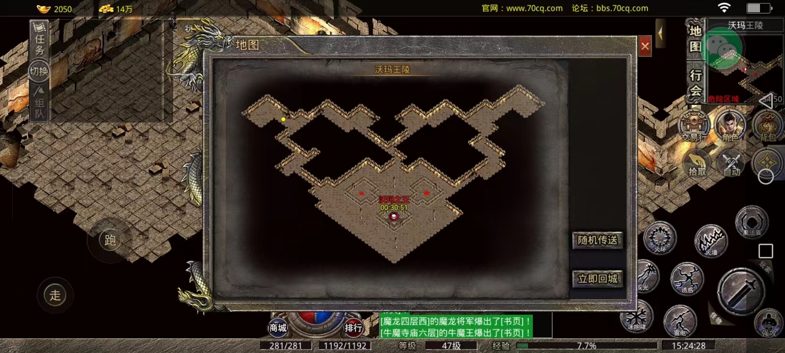 沃4.jpg
