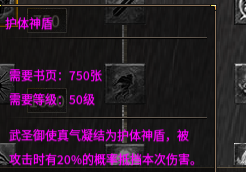 护体神盾.png