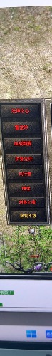 IMG_3876.jpeg