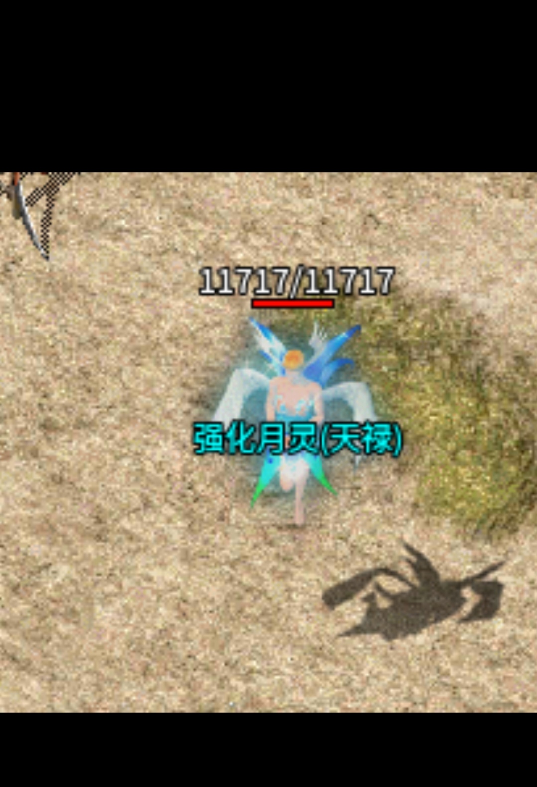 1335.jpg